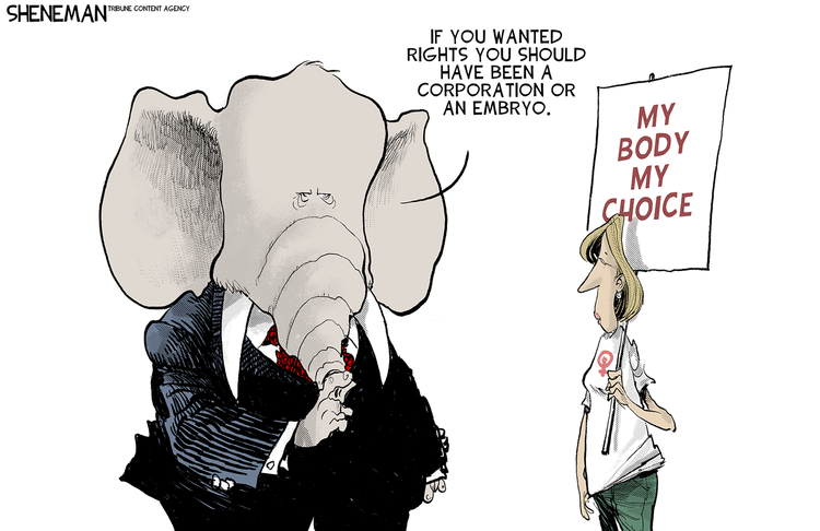 Drew Sheneman Comic Strip for February 28, 2024 