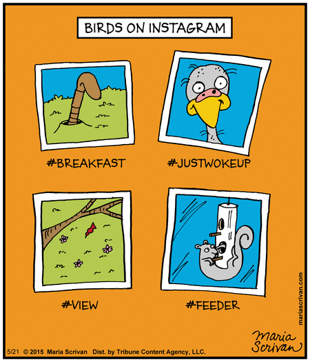 Half Full Comic Strip for May 21, 2015 