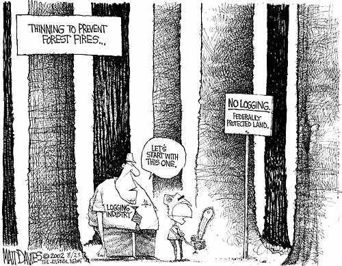 Matt Davies Comic Strip for August 23, 2002 