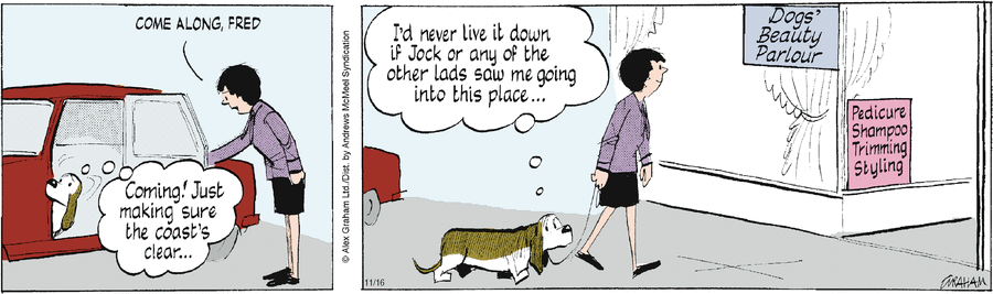 Fred Basset Comic Strip for November 16, 2023 