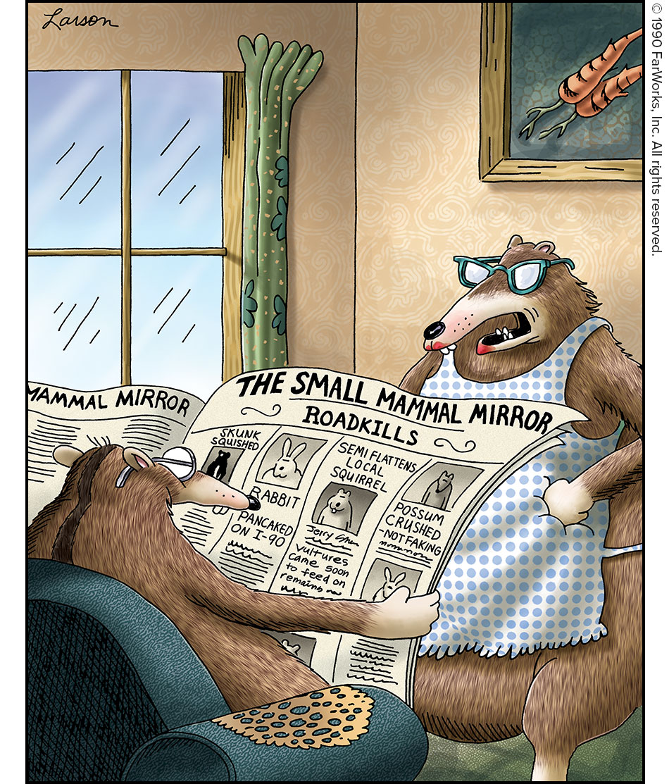 THE SMALL MAMMAL MIRROR ROADKILLS