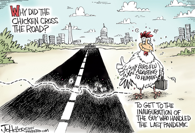 Joe Heller Comic Strip for January 08, 2025 