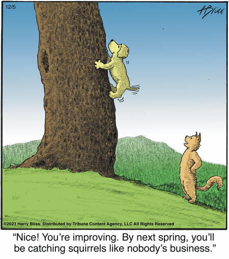 Bliss Comic Strip for December 05, 2023 