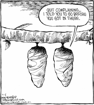 Speed Bump Comic Strip for July 05, 2006 