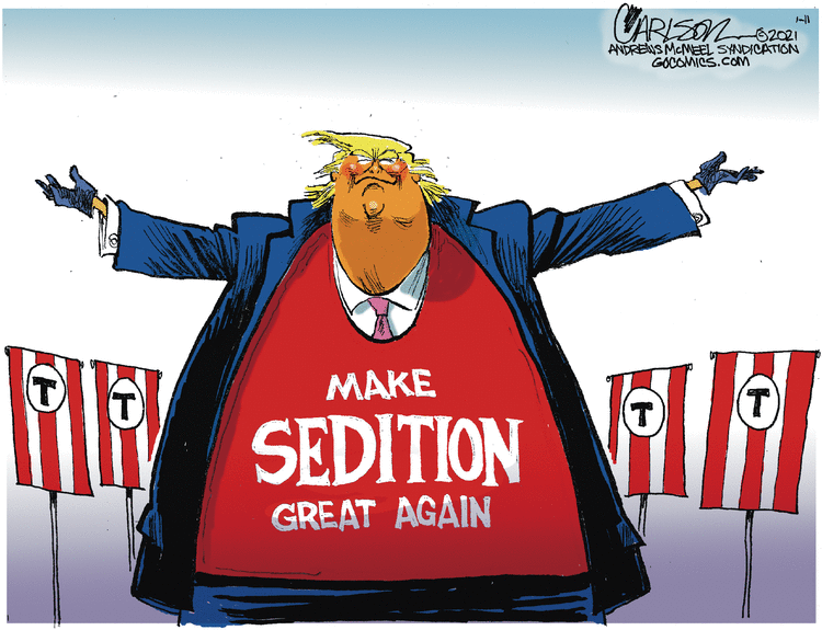 Stuart Carlson Comic Strip for January 11, 2021 