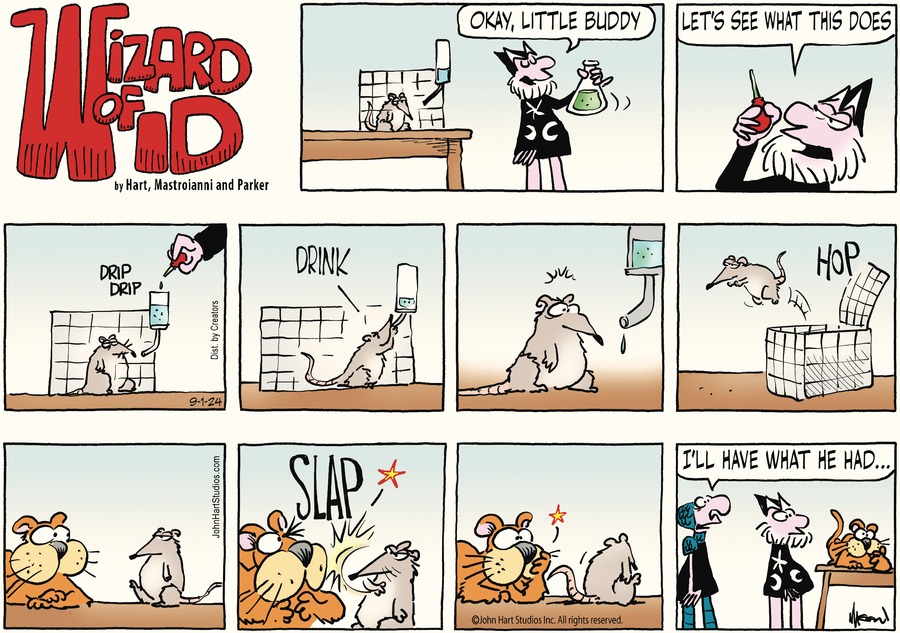 Wizard of Id Comic Strip for September 01, 2024 
