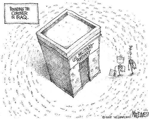 Matt Davies Comic Strip for June 20, 2005 