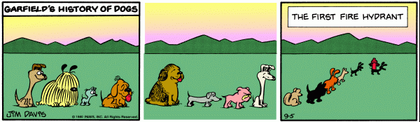 Garfield Comic Strip for September 05, 1980 