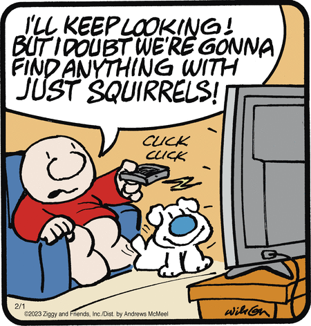 Ziggy Comic Strip for February 01, 2023 