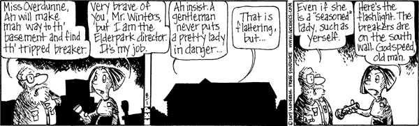 The Elderberries Comic Strip for August 01, 2007 