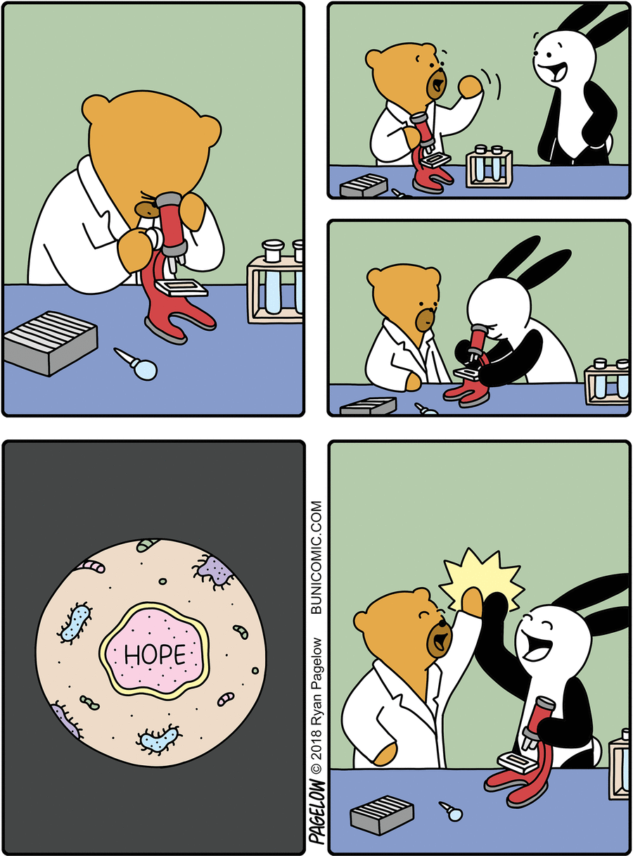 Buni Comic Strip for November 16, 2018 