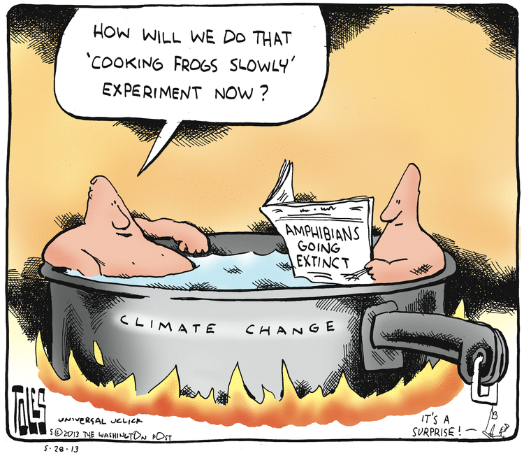 Tom Toles Comic Strip for May 28, 2013 