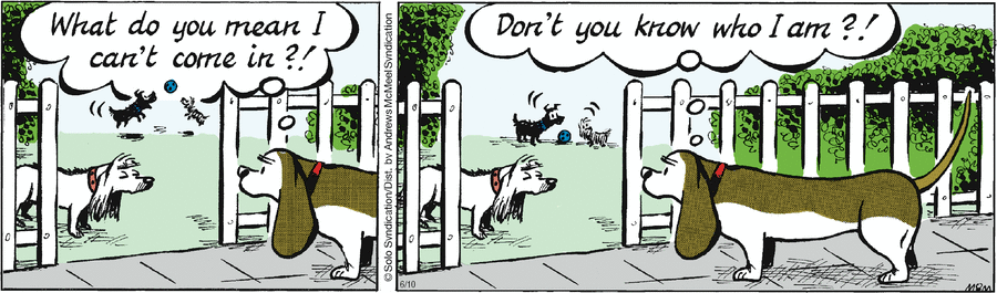 Fred Basset Comic Strip for June 10, 2023 