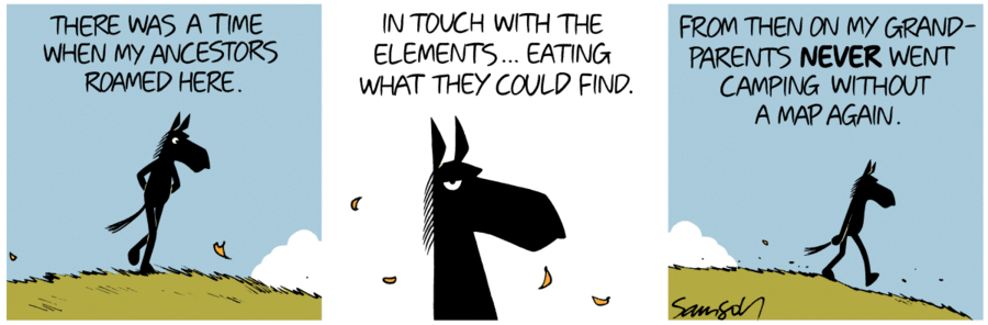 Dark Side of the Horse Comic Strip for February 22, 2019 