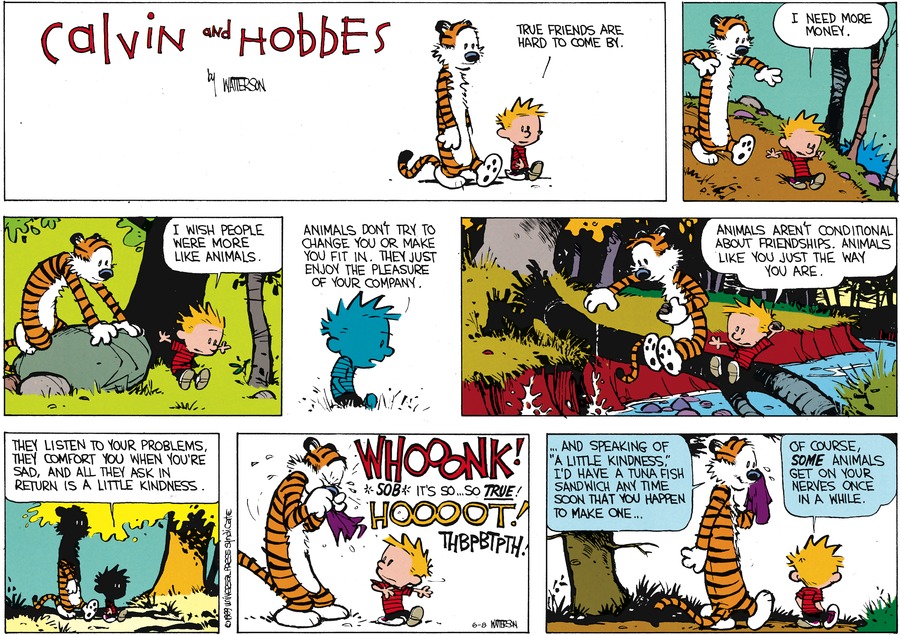 Calvin and Hobbes Comic Strip for June 08, 2014 