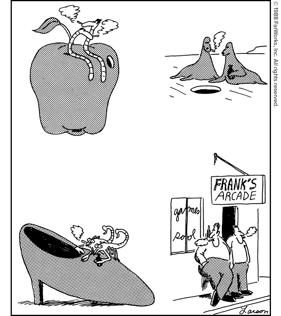 FRANK’S ARCADE / games pool