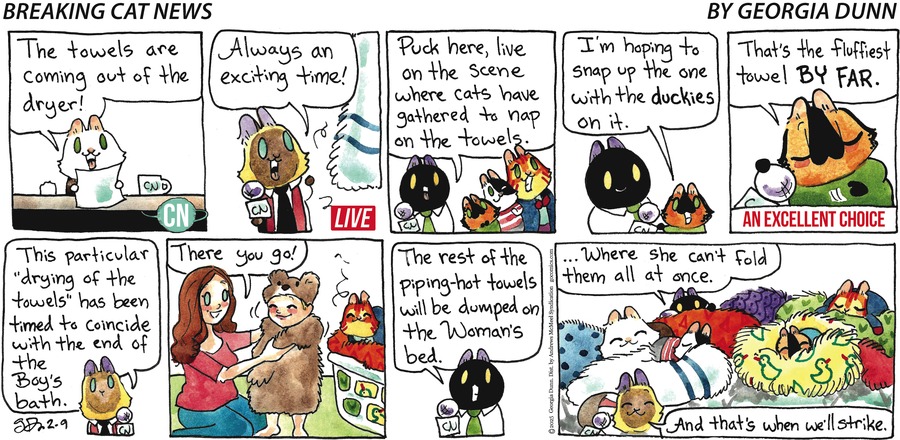 Breaking Cat News Comic Strip for February 09, 2025 