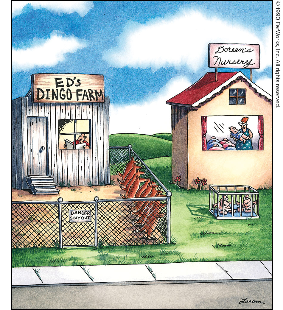 ED'S DINGO FARM / DANGER STAY OUT / Doreen’s Nursery