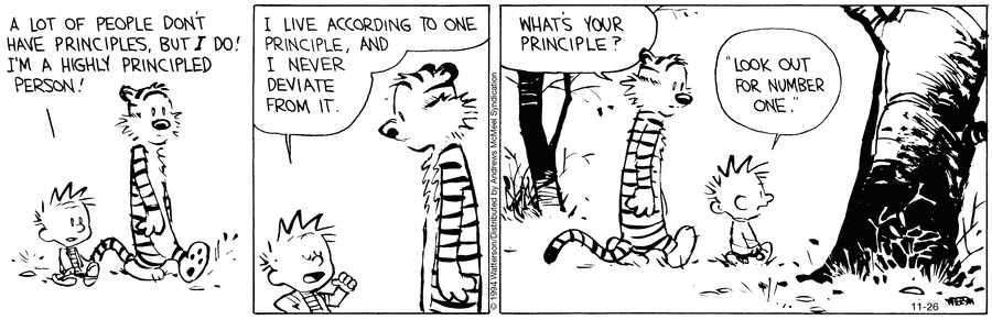 Calvin and Hobbes Comic Strip for November 26, 2024 