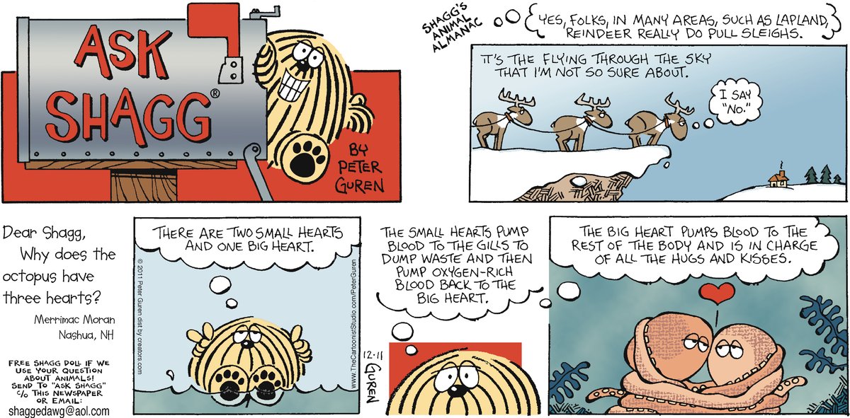 Ask Shagg by Peter Guren on Mon, 31 Mar 2025