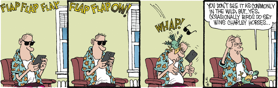 Monty Comic Strip for April 06, 2024 