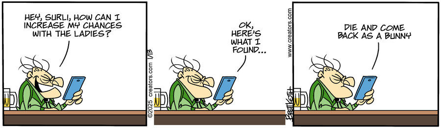 Diamond Lil Comic Strip for January 13, 2025 
