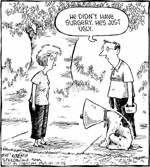 Speed Bump Comic Strip for October 26, 2007 