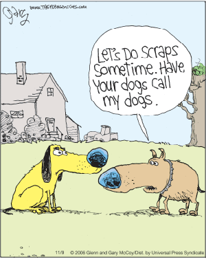 The Flying McCoys Comic Strip for November 09, 2006 