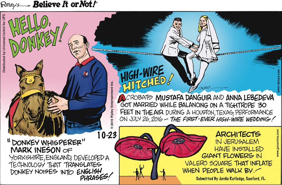 Ripley's Believe It or Not Comic Strip for October 23, 2016 
