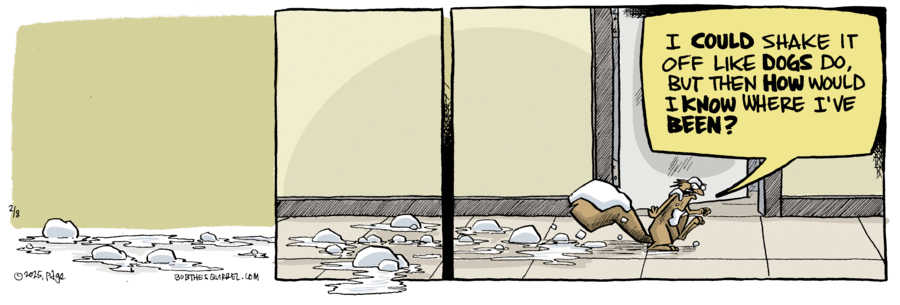 Bob the Squirrel Comic Strip for February 08, 2025 