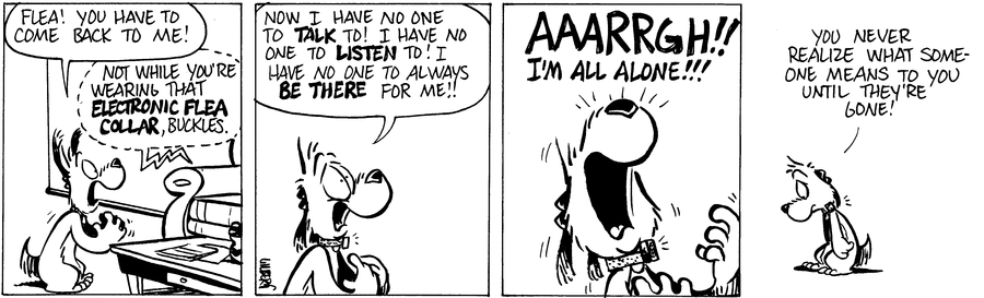 Buckles Comic Strip for May 02, 2024 