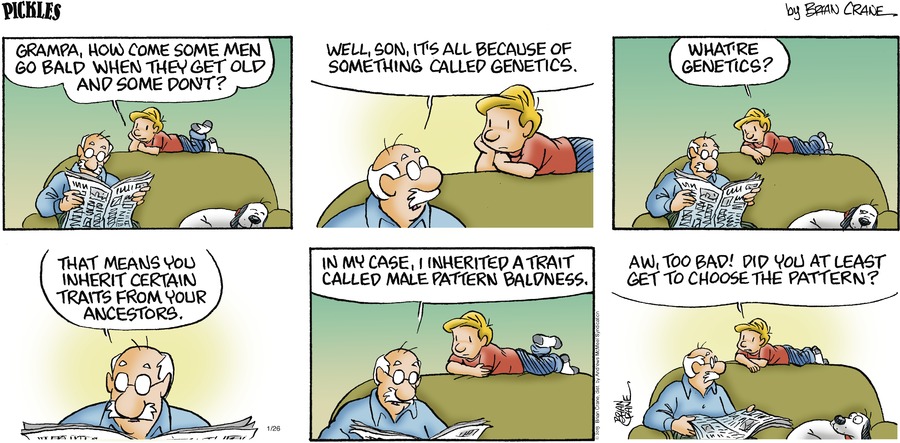 Pickles Comic Strip for January 26, 2025 