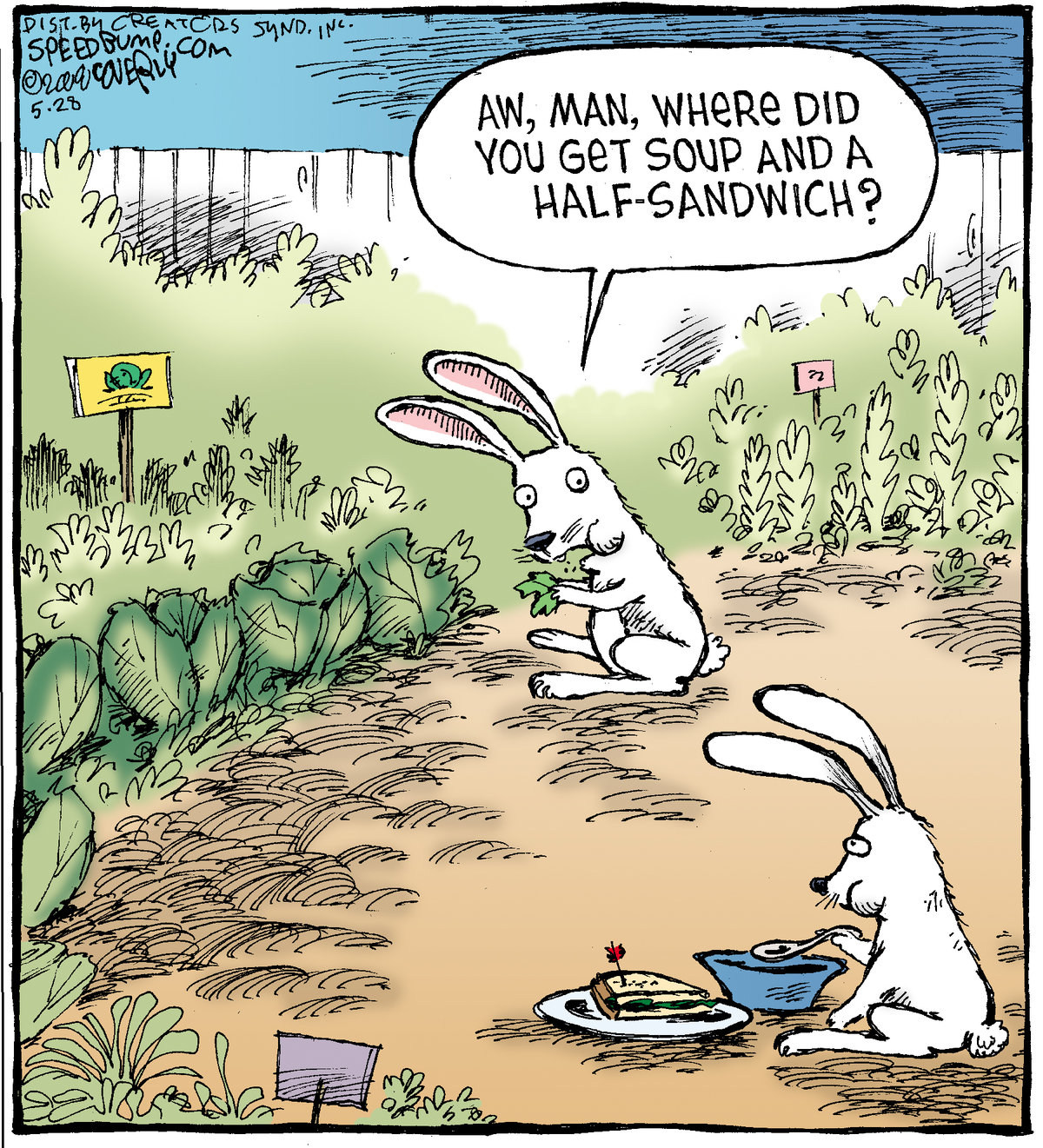 Speed Bump Comic Strip for May 28, 2011 
