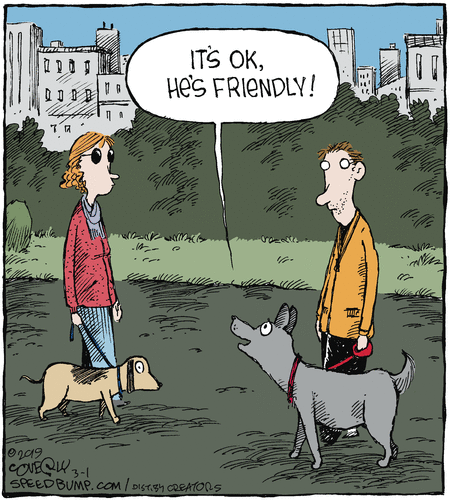 Speed Bump Comic Strip for March 01, 2019 