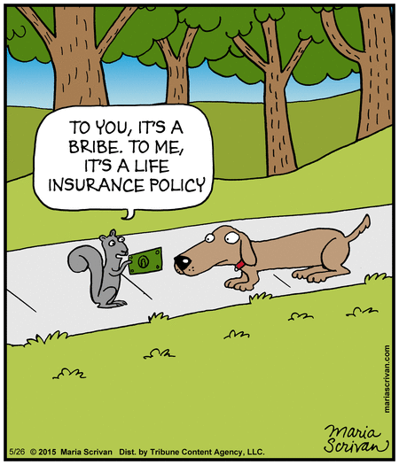 Half Full Comic Strip for May 26, 2015 