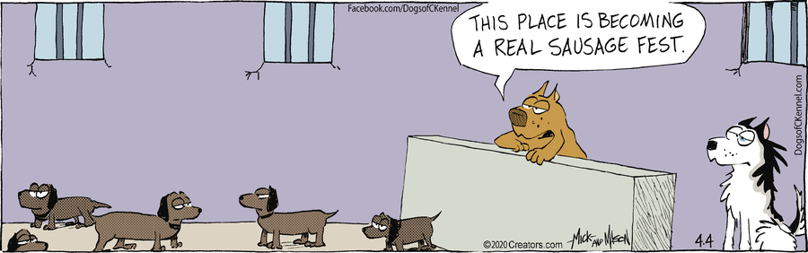 Dogs of C-Kennel Comic Strip for April 04, 2020 