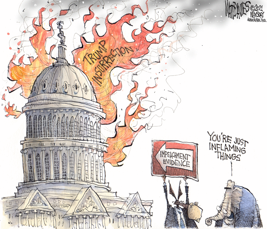 Matt Davies Comic Strip for February 11, 2021 