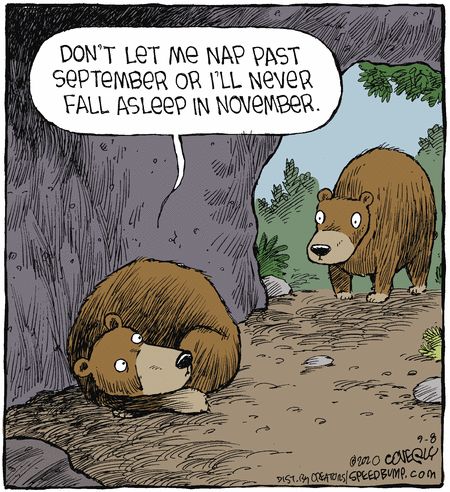 Speed Bump Comic Strip for September 08, 2020 