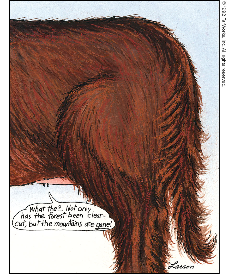 What the? … Not only has the forest been clear cut, but the mountains are gone!