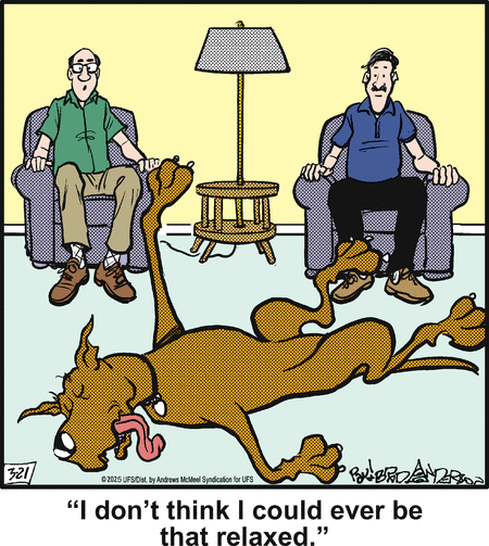 Marmaduke Comic Strip for March 21, 2025 