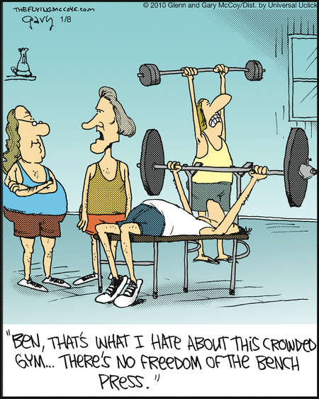 The Flying McCoys Comic Strip for January 08, 2013 