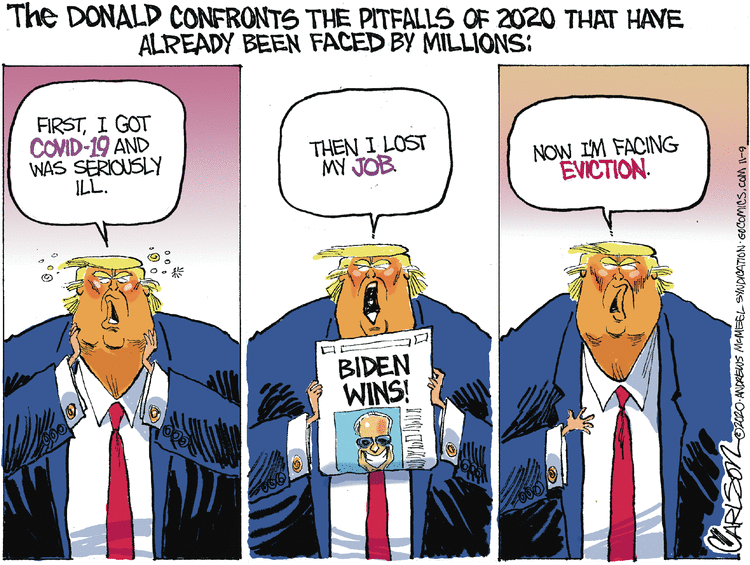 Stuart Carlson Comic Strip for November 09, 2020 