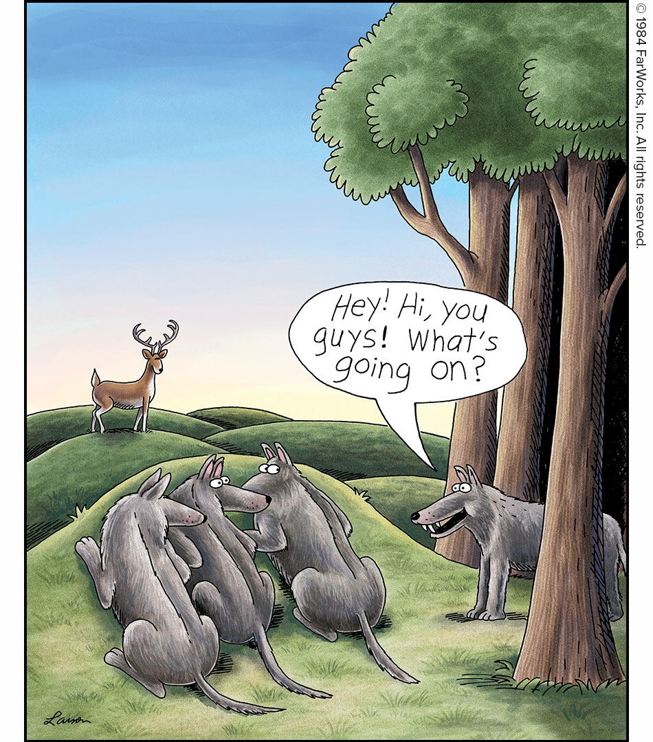 Hey! Hi, you guys! What’s going on?