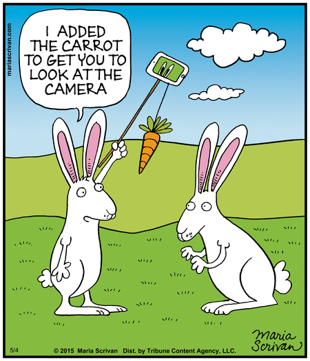 Half Full Comic Strip for May 04, 2015 