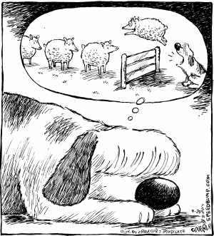 Speed Bump Comic Strip for September 29, 2007 