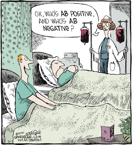 Speed Bump Comic Strip for February 01, 2020 