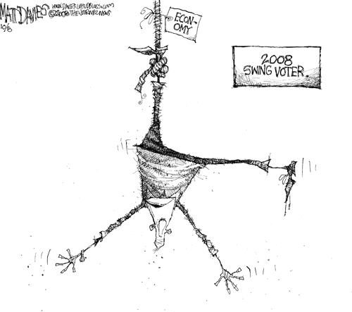 Matt Davies Comic Strip for October 08, 2008 