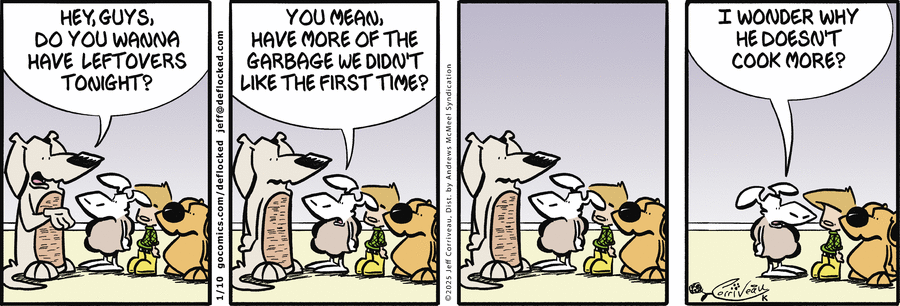 DeFlocked Comic Strip for January 10, 2025 