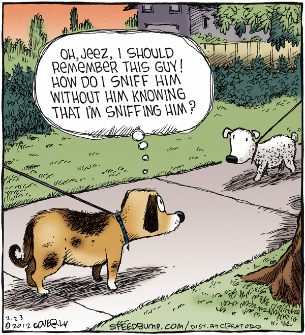Speed Bump Comic Strip for February 23, 2012 