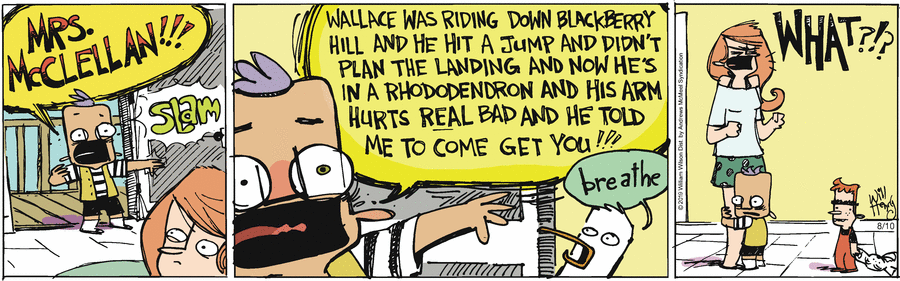 Wallace the Brave Comic Strip for August 10, 2019 